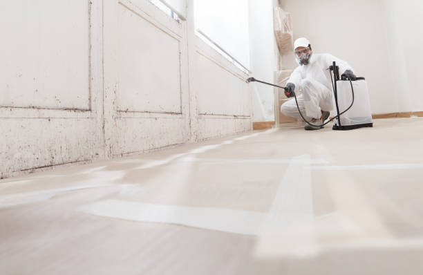 24/7 Emergency Mold Remediation experts in Saint Johns, FL